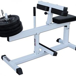 Deltech Fitness Seated Calf Machine