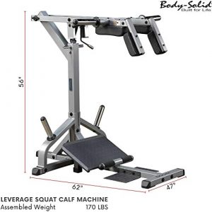 Body-Solid Leverage Squat and Calf Raise Machine (GSCL360)