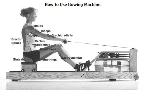 How To Correctly Use A Rowing Machine